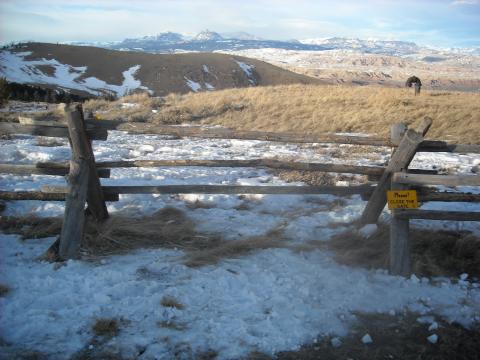ULWSA Horse Gate