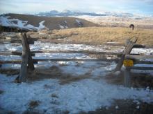 ULWSA Horse Gate